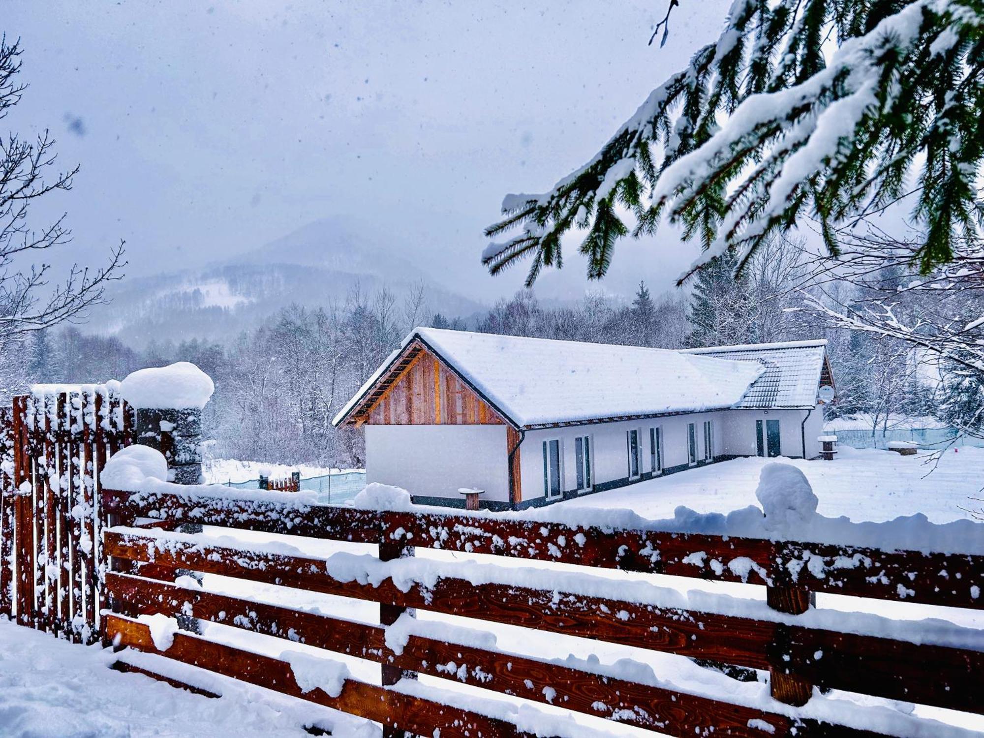 Hotel Casa Irinei Poiana Mărului Exteriér fotografie